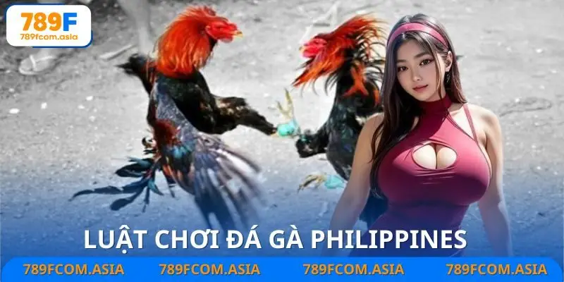 Hướng dẫn luật đá gà Philippines năm 2025